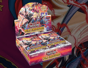 WILD SURVIVORS (ENGLISH ) - La Boîte Mystère ( The Mystery Box)