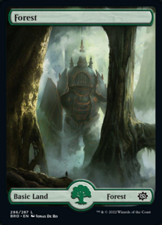 Forest (286) [The Brothers' War] - La Boîte Mystère ( The Mystery Box)