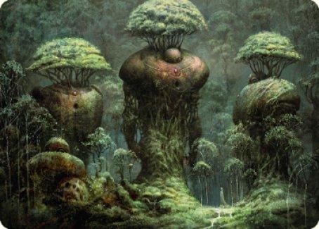 Forest Art Card [Dominaria United Art Series] - La Boîte Mystère ( The Mystery Box)