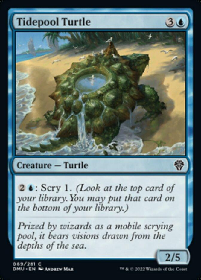 Tidepool Turtle [Dominaria United] - La Boîte Mystère ( The Mystery Box)