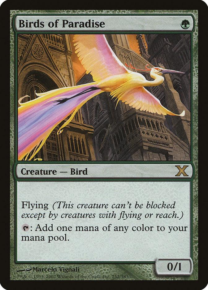 Birds of Paradise [Tenth Edition] - La Boîte Mystère ( The Mystery Box)