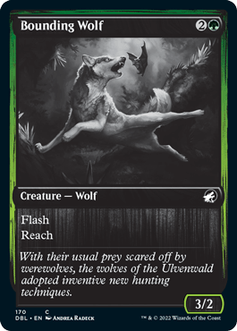 Bounding Wolf [Innistrad: Double Feature] - La Boîte Mystère ( The Mystery Box)