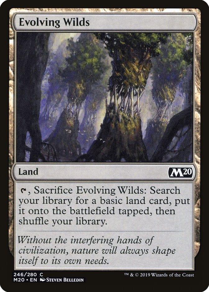 Evolving Wilds [Core Set 2020] - La Boîte Mystère ( The Mystery Box)