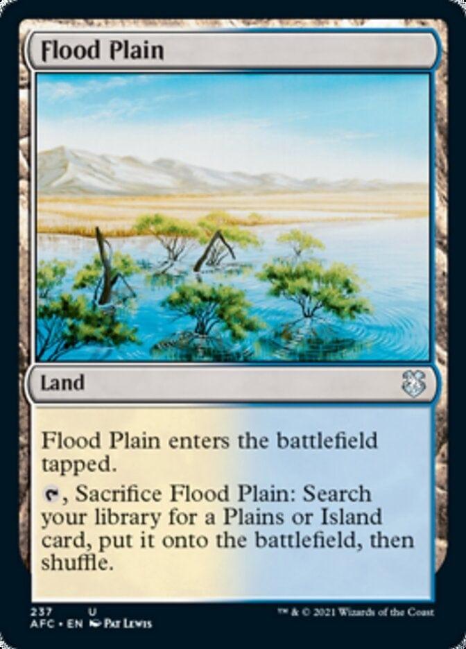 Flood Plain [Dungeons & Dragons: Adventures in the Forgotten Realms Commander] - La Boîte Mystère ( The Mystery Box)