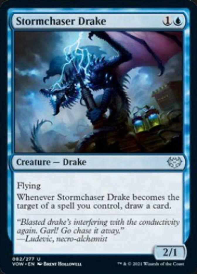 Stormchaser Drake [Innistrad: Crimson Vow] - La Boîte Mystère ( The Mystery Box)