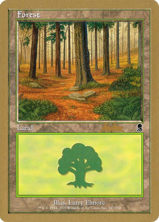 Forest (bk347) [World Championship Decks 2002] - La Boîte Mystère ( The Mystery Box)