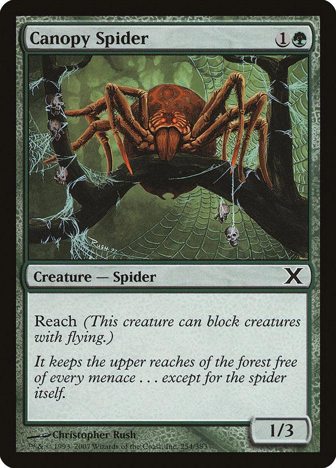 Canopy Spider [Tenth Edition] - La Boîte Mystère ( The Mystery Box)