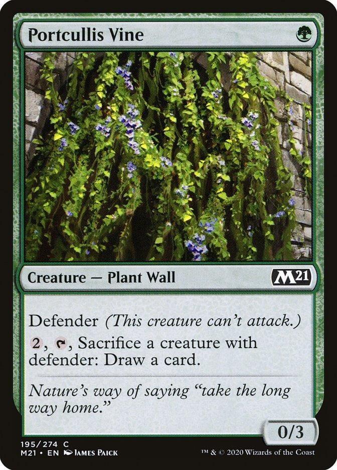 Portcullis Vine [Core Set 2021] - La Boîte Mystère ( The Mystery Box)