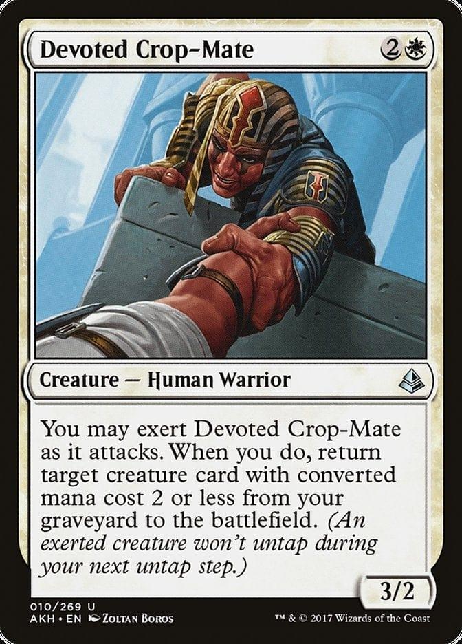 Devoted Crop-Mate [Amonkhet] - La Boîte Mystère ( The Mystery Box)