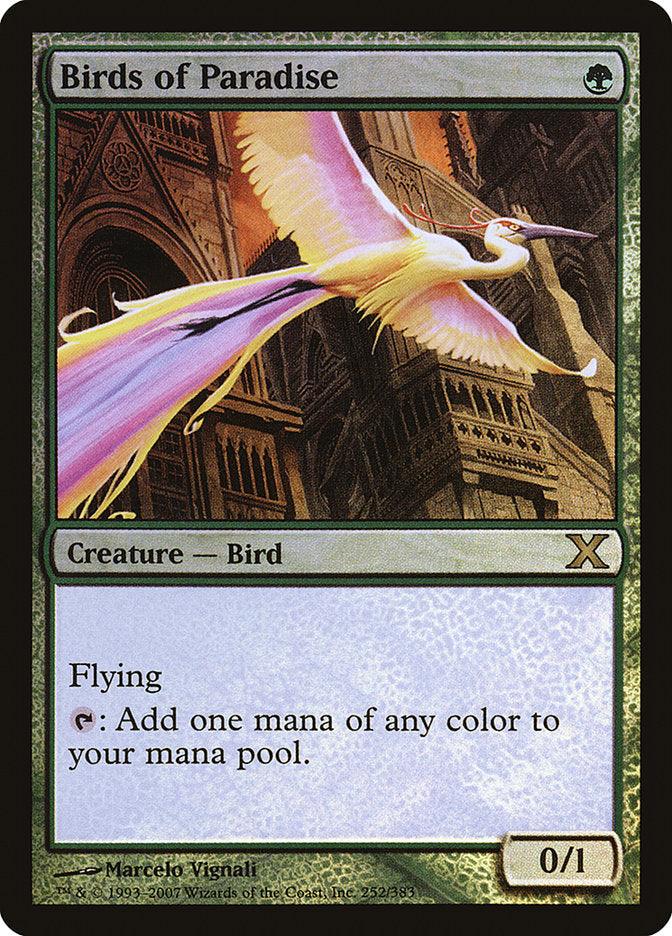 Birds of Paradise (Premium Foil) [Tenth Edition] - La Boîte Mystère ( The Mystery Box)