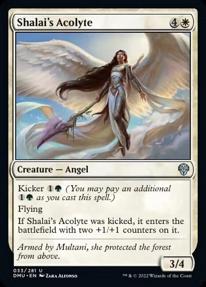 Shalai's Acolyte [Dominaria United] - La Boîte Mystère ( The Mystery Box)