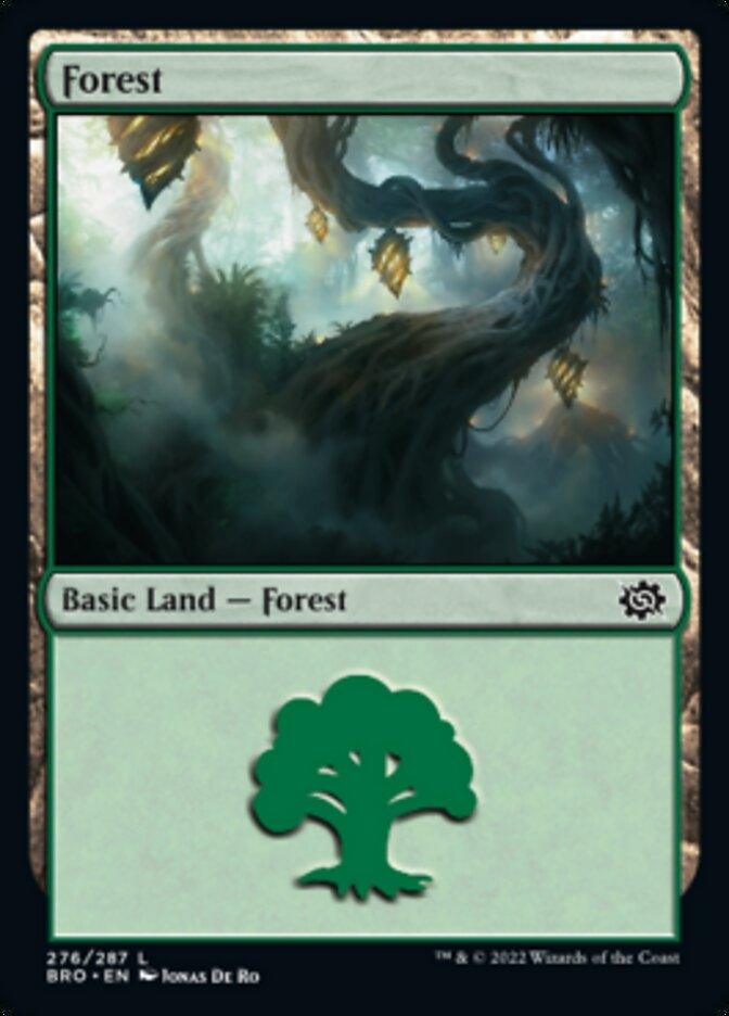 Forest (276) [The Brothers' War] - La Boîte Mystère ( The Mystery Box)