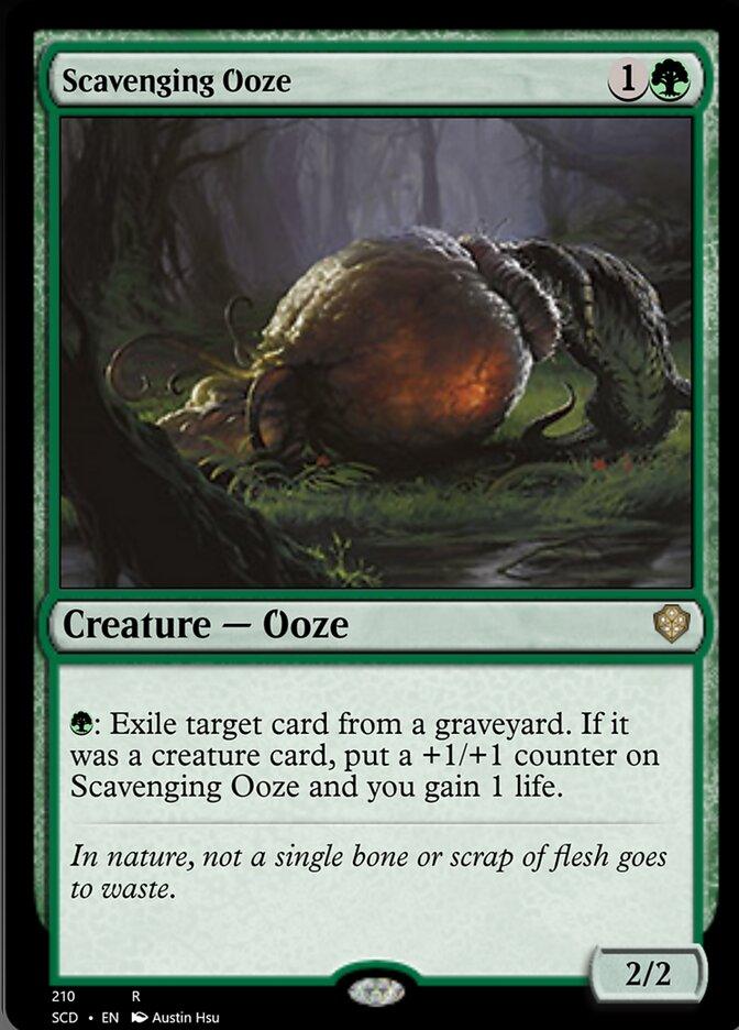 Scavenging Ooze [Starter Commander Decks] - La Boîte Mystère ( The Mystery Box)
