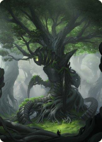 Forest Art Card [The Brothers' War Art Series] - La Boîte Mystère ( The Mystery Box)
