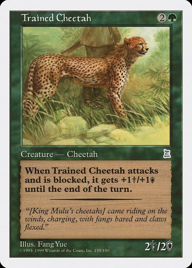 Trained Cheetah [Portal Three Kingdoms] - La Boîte Mystère ( The Mystery Box)