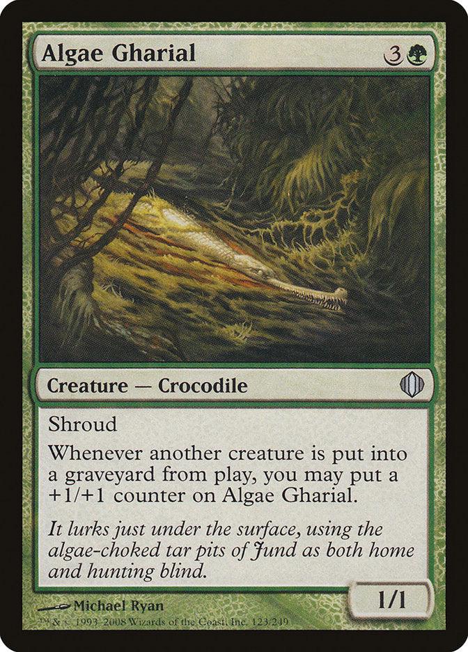 Algae Gharial [Shards of Alara] - La Boîte Mystère ( The Mystery Box)