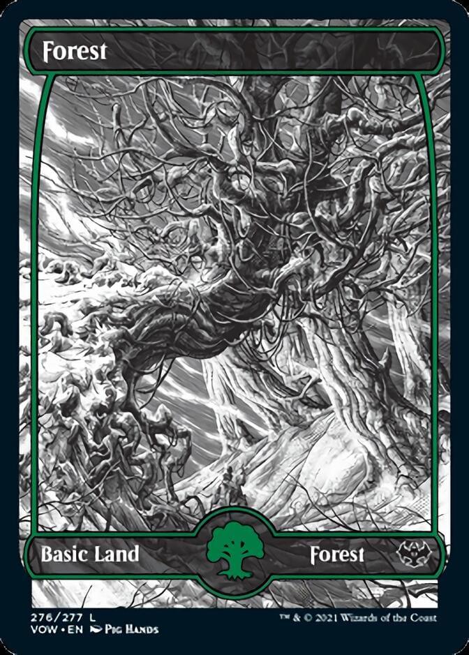 Forest (276) [Innistrad: Crimson Vow] - La Boîte Mystère ( The Mystery Box)
