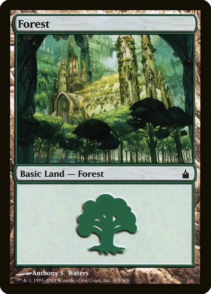 Forest (305) [Ravnica: City of Guilds] - La Boîte Mystère ( The Mystery Box)