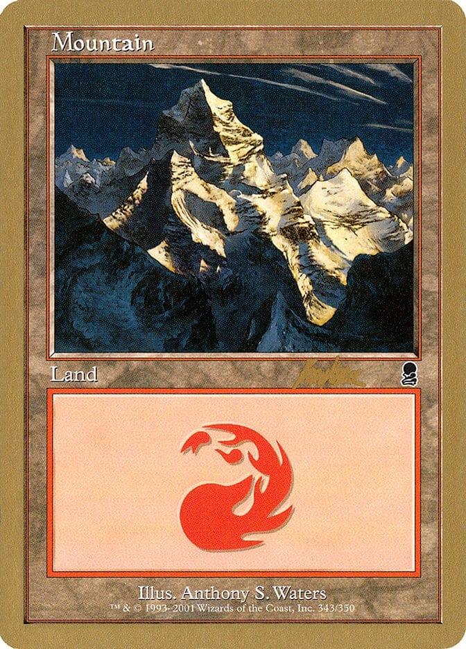 Mountain (bk343) [World Championship Decks 2002] - La Boîte Mystère ( The Mystery Box)