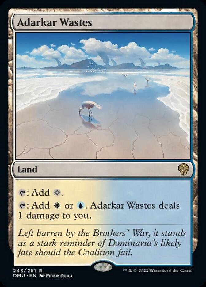 Adarkar Wastes [Dominaria United] - La Boîte Mystère ( The Mystery Box)