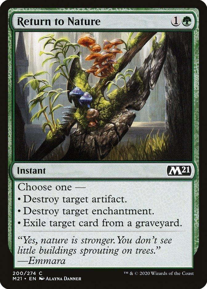 Return to Nature [Core Set 2021] - La Boîte Mystère ( The Mystery Box)