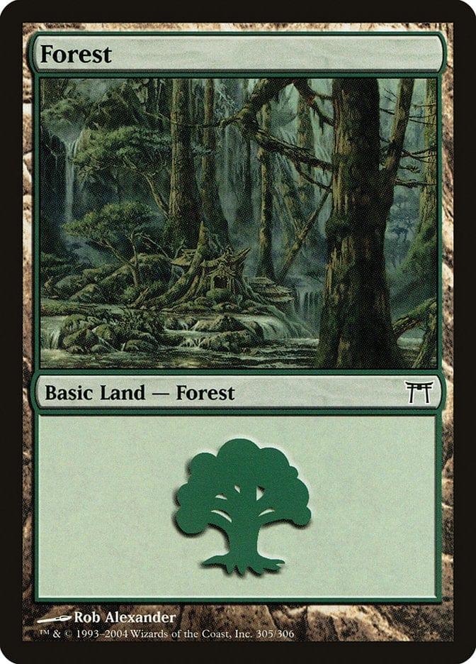 Forest (305) [Champions of Kamigawa] - La Boîte Mystère ( The Mystery Box)