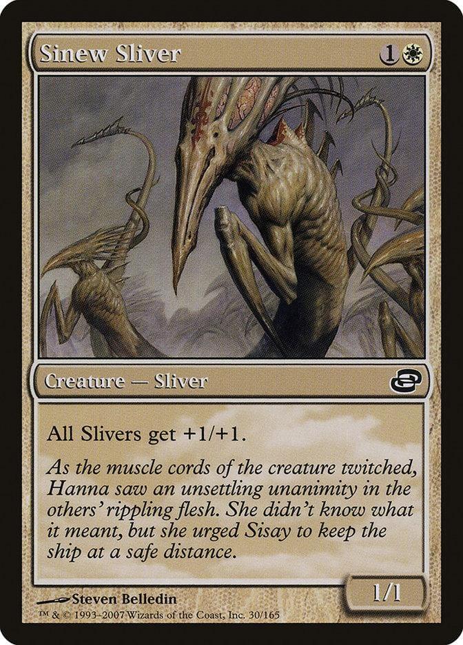 Sinew Sliver [Planar Chaos] - La Boîte Mystère ( The Mystery Box)