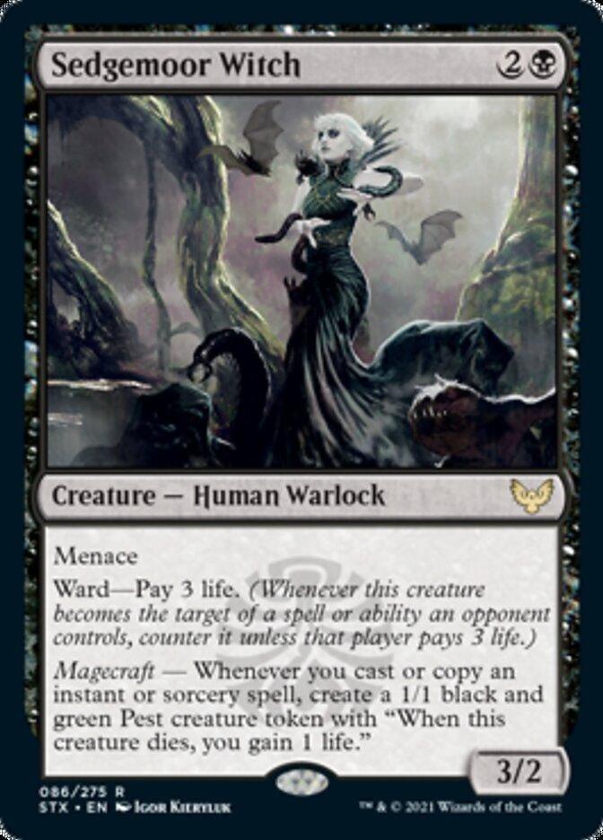 Sedgemoor Witch [Strixhaven: School of Mages] - La Boîte Mystère ( The Mystery Box)