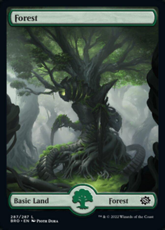 Forest (287) [The Brothers' War] - La Boîte Mystère ( The Mystery Box)