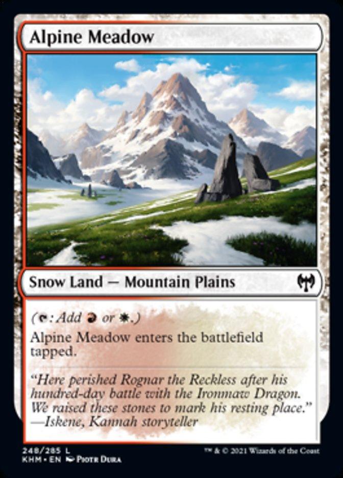Alpine Meadow [Kaldheim] - La Boîte Mystère ( The Mystery Box)