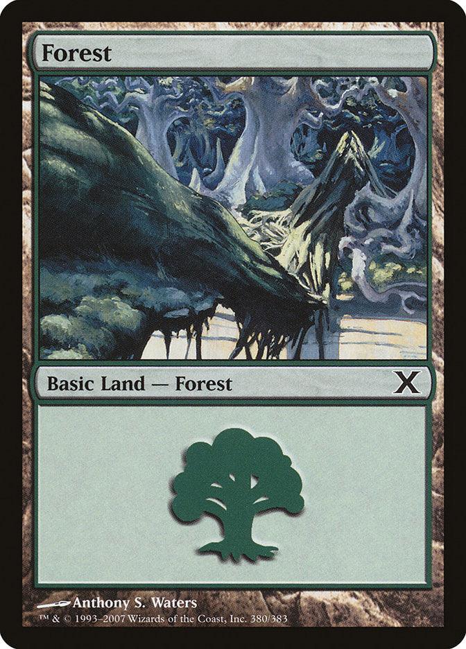 Forest (380) [Tenth Edition] - La Boîte Mystère ( The Mystery Box)