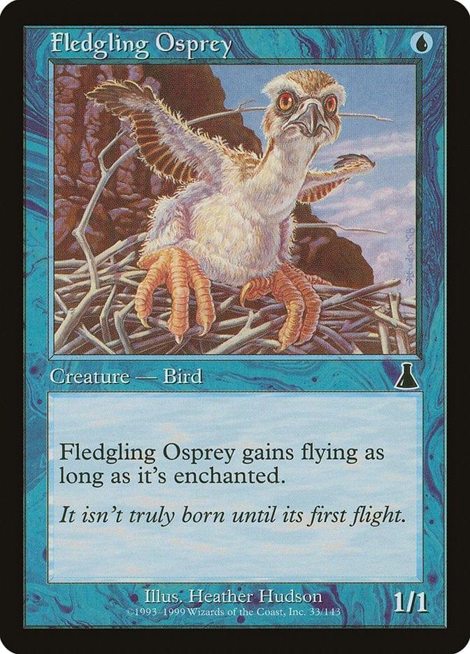 Fledgling Osprey [Urza's Destiny] - La Boîte Mystère ( The Mystery Box)