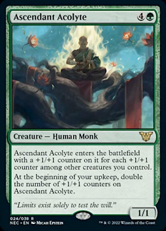 Ascendant Acolyte [Kamigawa: Neon Dynasty Commander] - La Boîte Mystère ( The Mystery Box)