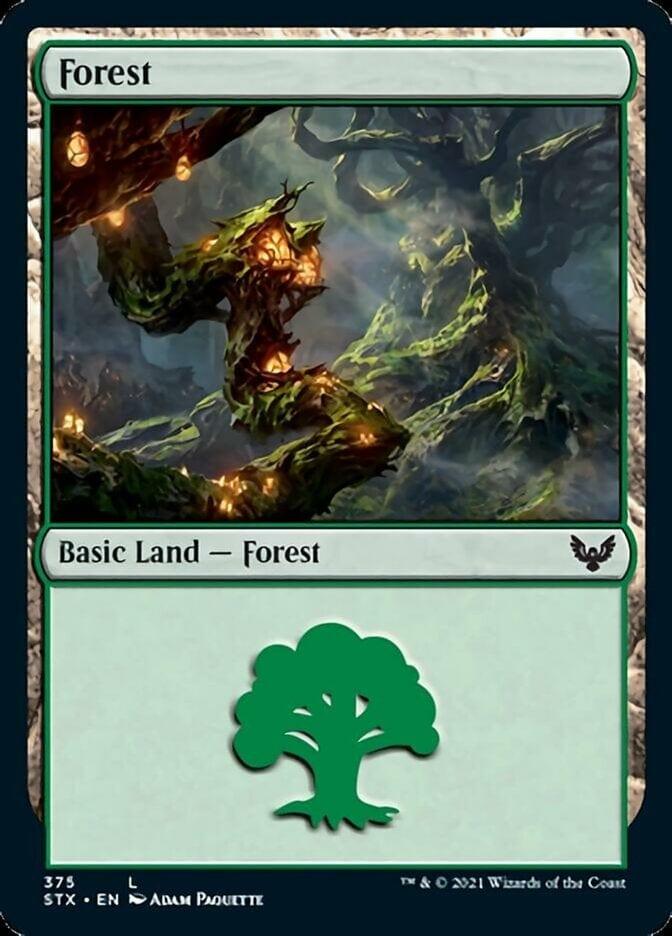 Forest (375) [Strixhaven: School of Mages] - La Boîte Mystère ( The Mystery Box)