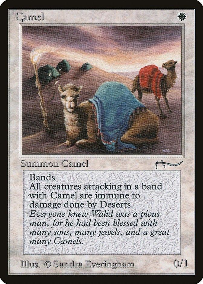 Camel [Arabian Nights] - La Boîte Mystère ( The Mystery Box)