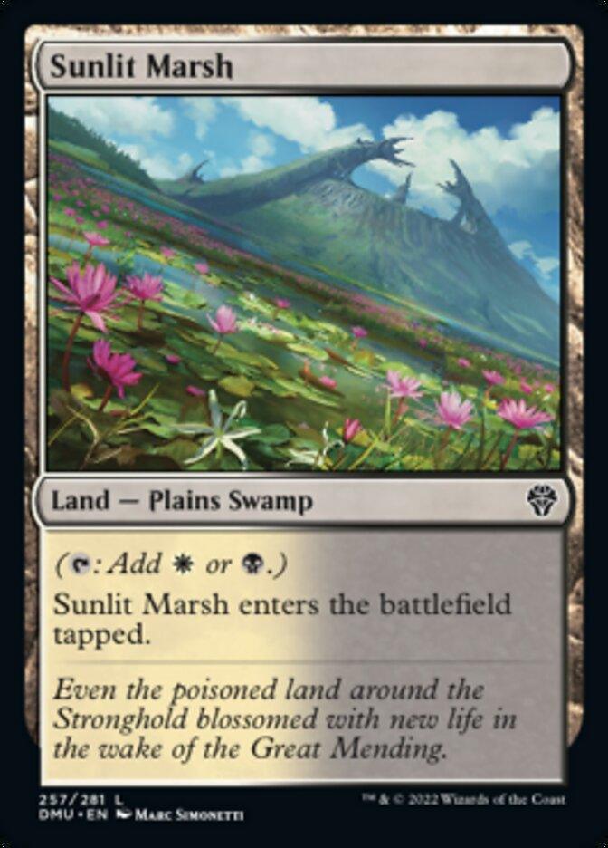 Sunlit Marsh [Dominaria United] - La Boîte Mystère ( The Mystery Box)