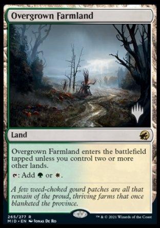 Overgrown Farmland (Promo Pack) [Innistrad: Midnight Hunt Promos] - La Boîte Mystère ( The Mystery Box)