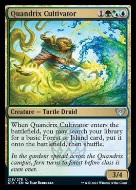 Quandrix Cultivator [Strixhaven: School of Mages] - La Boîte Mystère ( The Mystery Box)