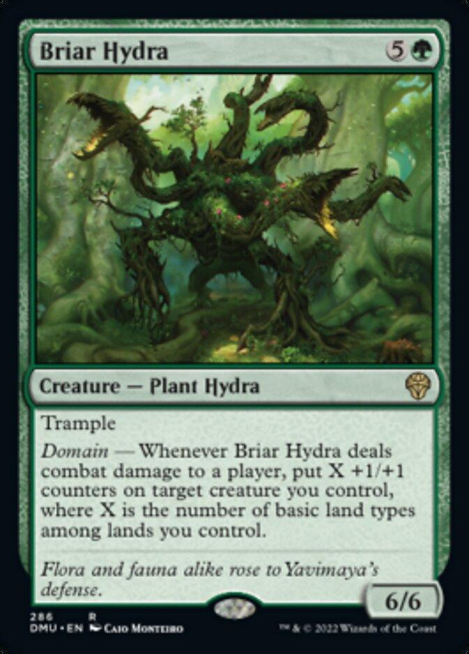 Briar Hydra [Dominaria United] - La Boîte Mystère ( The Mystery Box)