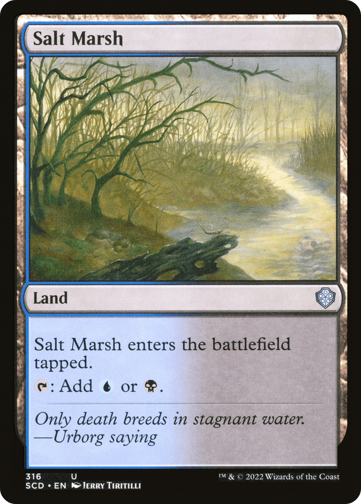 Salt Marsh [Starter Commander Decks] - La Boîte Mystère ( The Mystery Box)