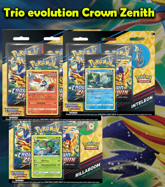 Trio evolution Crown Zenith - La Boîte Mystère ( The Mystery Box)