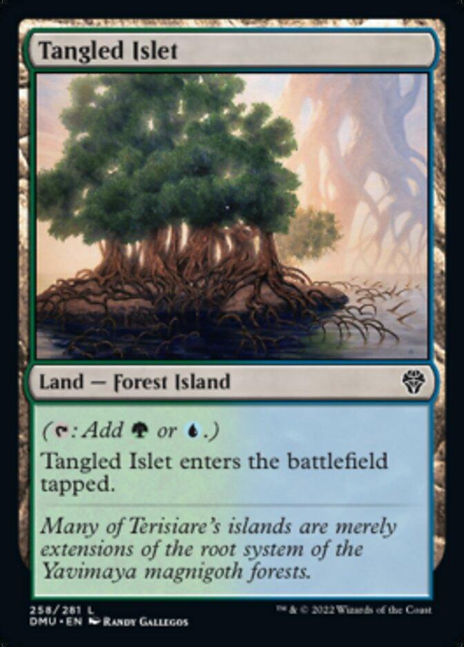 Tangled Islet [Dominaria United] - La Boîte Mystère ( The Mystery Box)