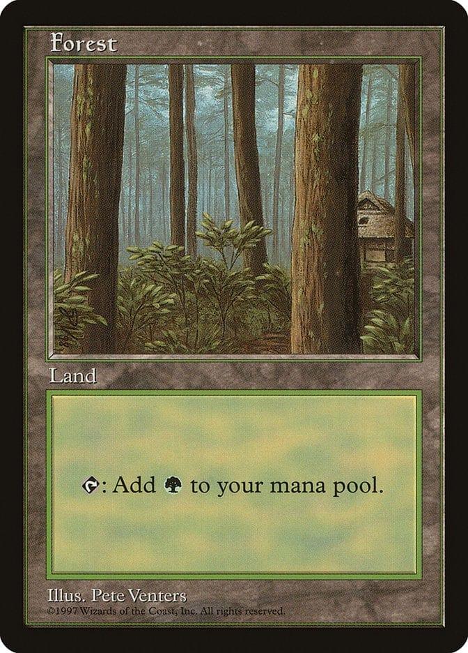 Forest (1) [Asia Pacific Land Program] - La Boîte Mystère ( The Mystery Box)