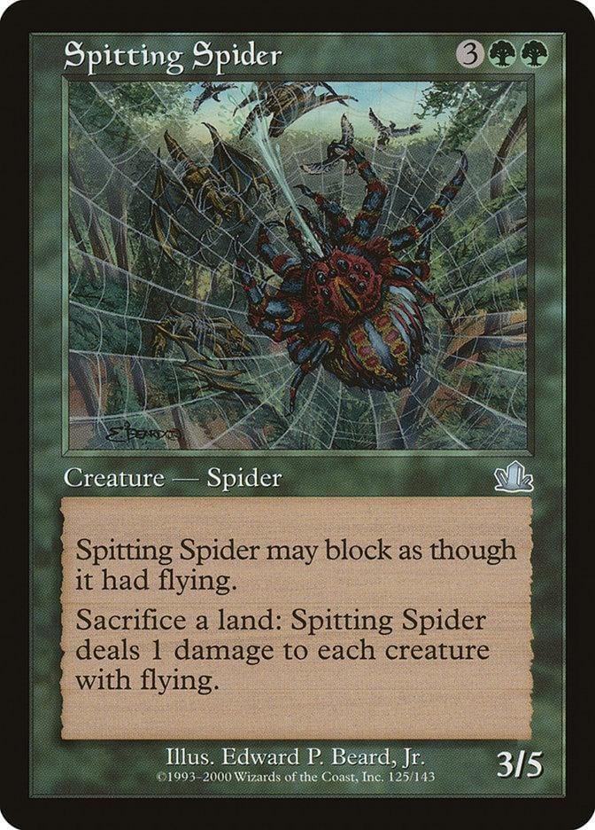Spitting Spider [Prophecy] - La Boîte Mystère ( The Mystery Box)