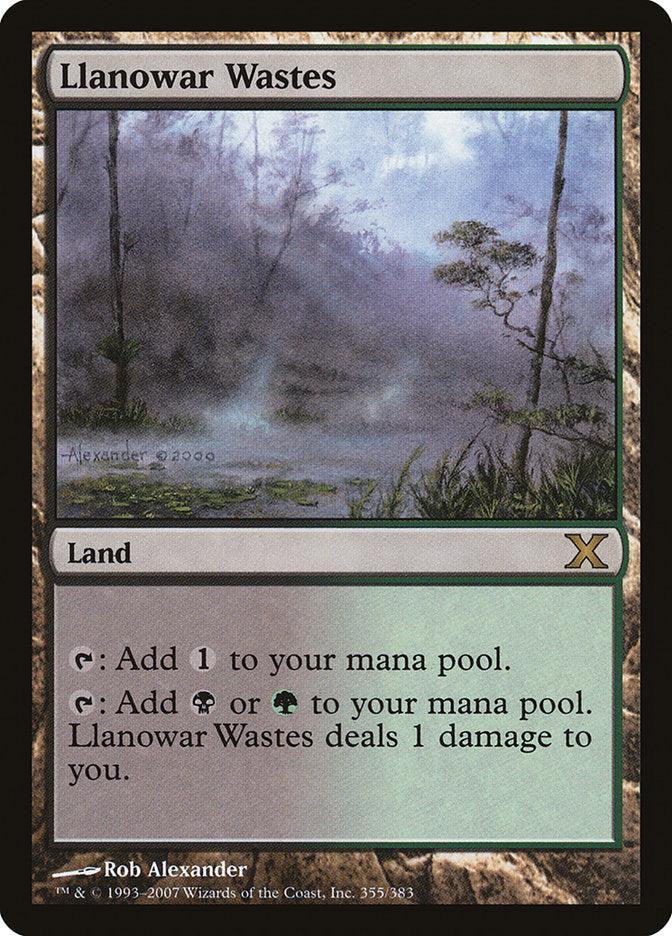 Llanowar Wastes [Tenth Edition] - La Boîte Mystère ( The Mystery Box)