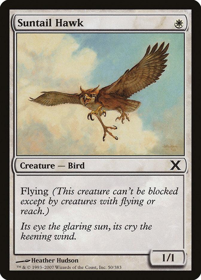 Suntail Hawk [Tenth Edition] - La Boîte Mystère ( The Mystery Box)