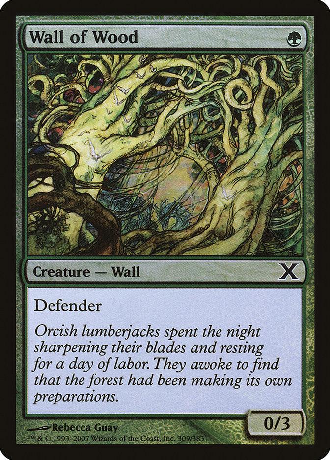 Wall of Wood (Premium Foil) [Tenth Edition] - La Boîte Mystère ( The Mystery Box)