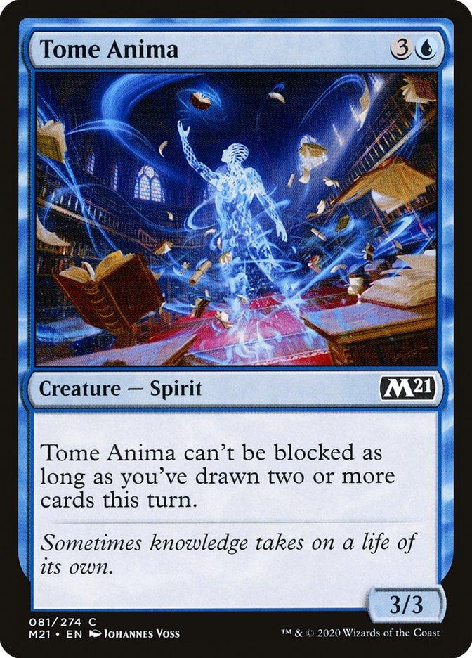 Tome Anima [Core Set 2021] - La Boîte Mystère ( The Mystery Box)