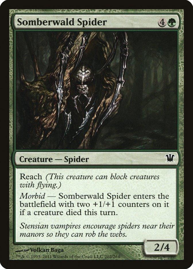 Somberwald Spider [Innistrad] - La Boîte Mystère ( The Mystery Box)