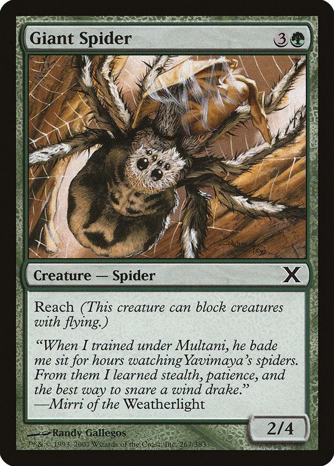 Giant Spider [Tenth Edition] - La Boîte Mystère ( The Mystery Box)
